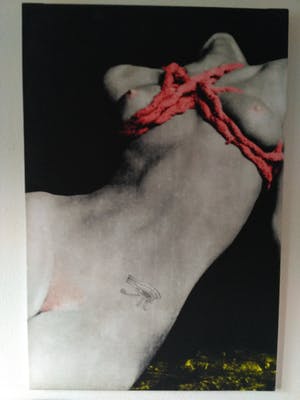 Niet of onleesbaar gesigneerd - Erotiek kopen? Bied vanaf 1!