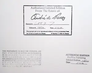 André De Dienes - Marilyn Monroe (1949) - Auflage von 50 kopen? Bied vanaf 1200!