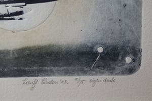 Leentje Linders - 2x "Nachtvlucht F-16" en "De 7 provinciën" kopen? Bied vanaf 30!