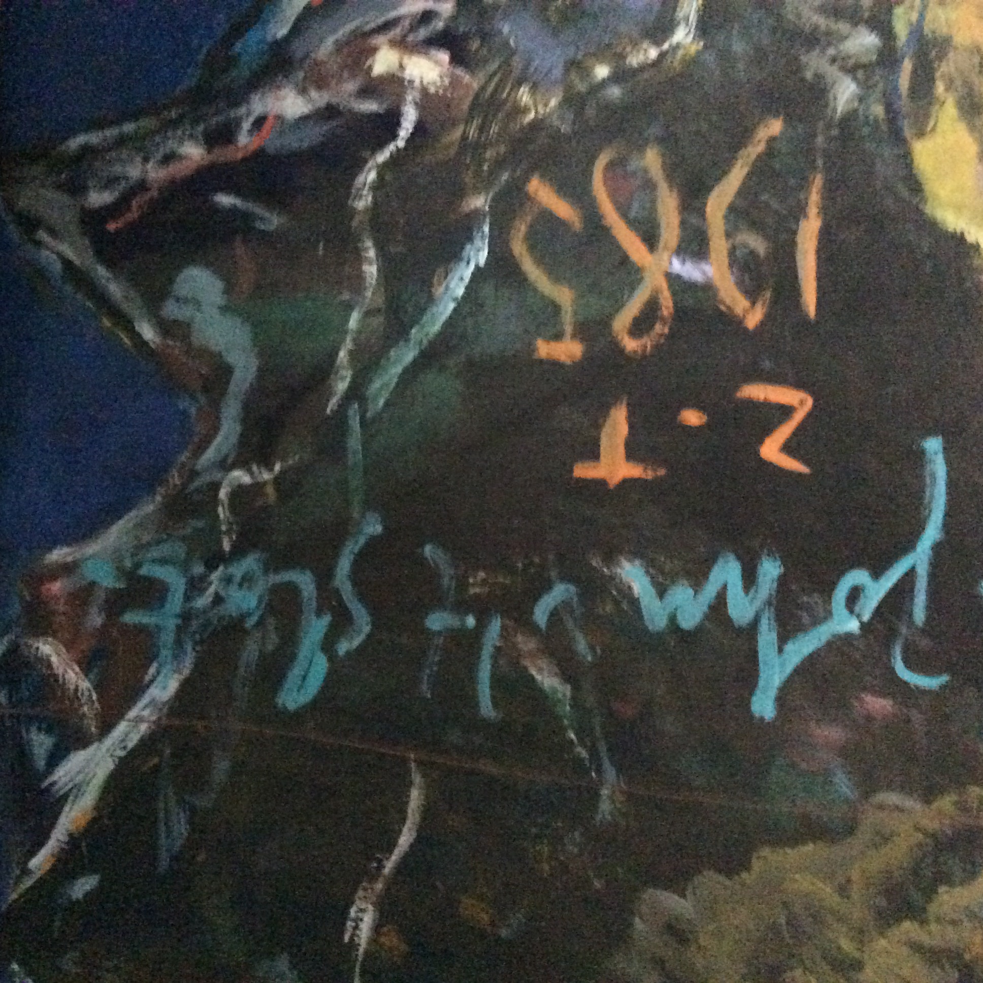 John van 't Slot - Paard kopen? Bied vanaf 950!