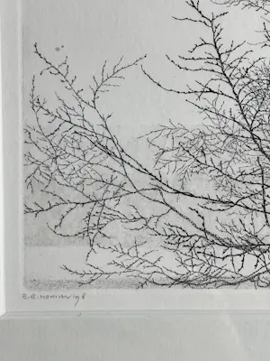 Reinder Homan - Bomen kopen? Bied vanaf 75!