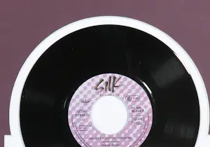 Diana Ross - Muscles 7” kaufen? Bieten Sie von 10!