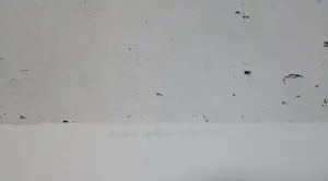 Gabriel Belgeonne - Onzième structure de Las Trou 1 kopen? Bied vanaf 20!