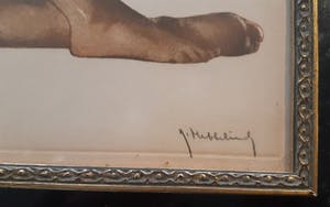 Roger Hebbelinck - 2 x Naakt kopen? Bied vanaf 100!