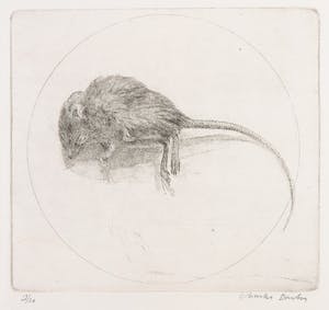 Charles Donker - Ets, Dood muisje kopen? Bied vanaf 150!