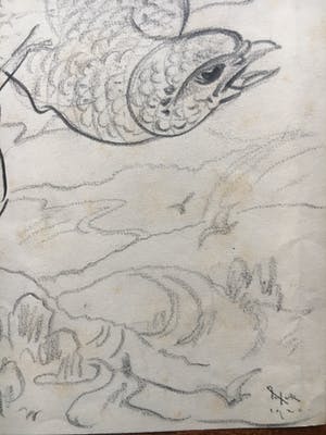 Willem van Konijnenburg - Roofvogel kopen? Bied vanaf 45!