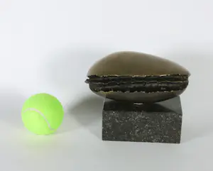 Wout Maters - Brons, Mossel kopen? Bied vanaf 350!