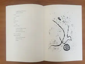 Frank Lodeizen - bundel van 9 afzonderlijke bladen. Gesigneerd en genummerd: 62/99 kopen? Bied vanaf 100!