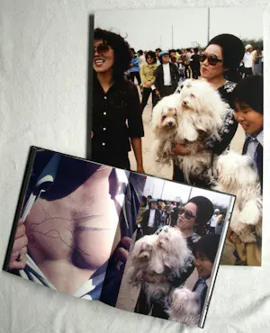 AcheterHenk Schiffmacher - Gesigneerde foto op dibond “Vrouw met Honden” + gesigneerd fotoboek? Enchérissez de 150!