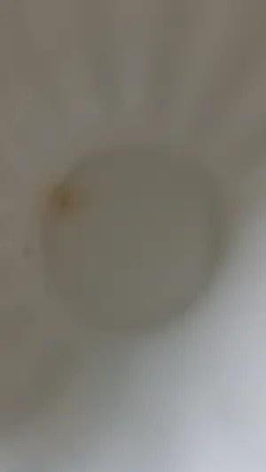 Plateelbakkerij Zenith - crème wit plateel cache potten kopen? Bied vanaf 30!