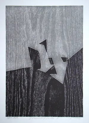 Franz Eggenschwiler - Donnerpfeile II, 1992 - Originele houtsnede, handgesigneerd kopen? Bied vanaf 80!
