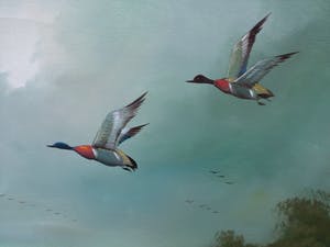 Hans Verhulst - olieverfschilderij op doek kopen? Bied vanaf 1!