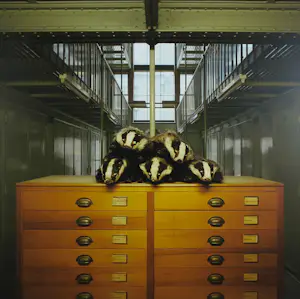 Paul den Hollander - Fotografie, Gernskantoor III - Ingelijst kopen? Bied vanaf 60!