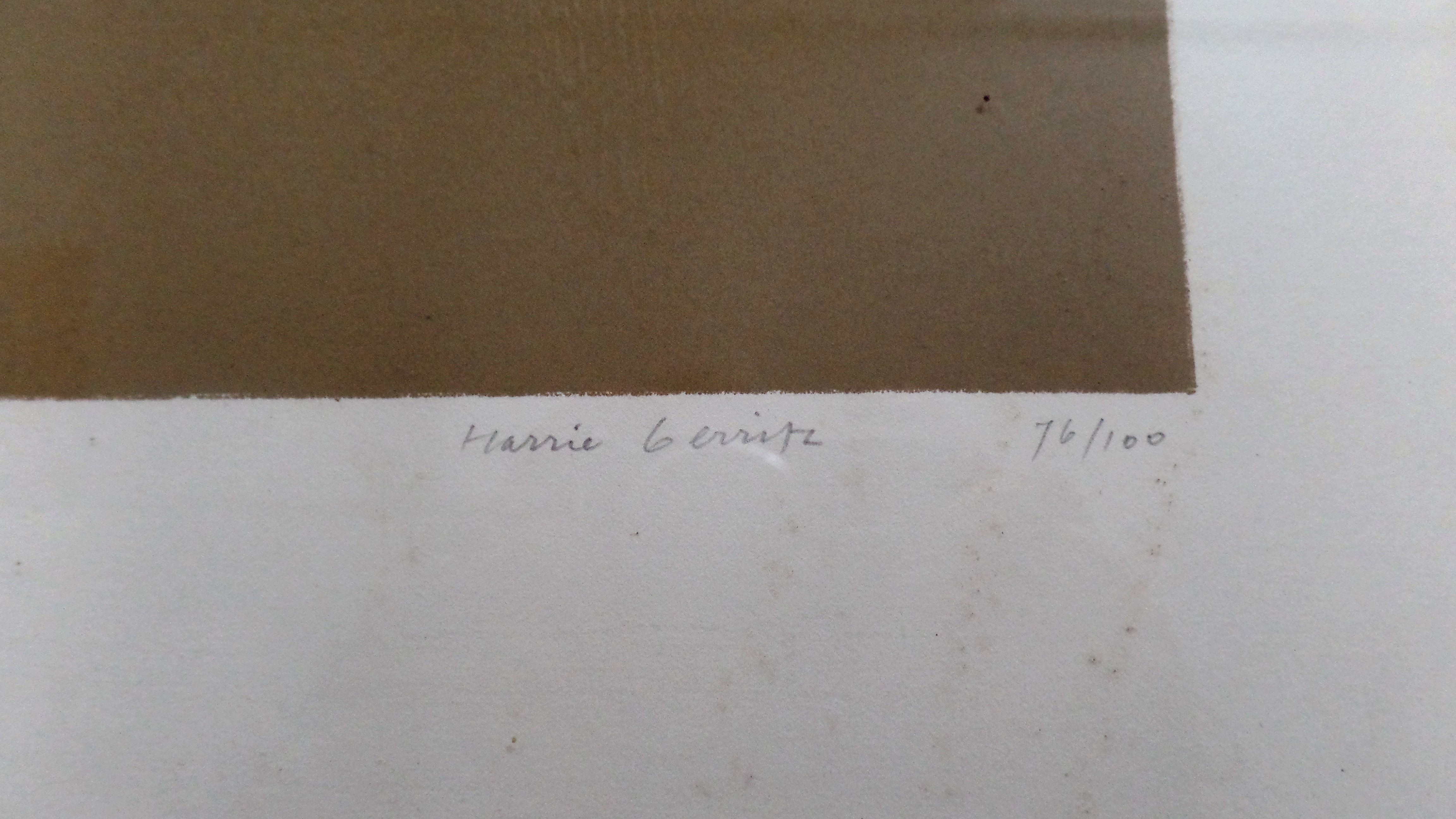 Harrie Gerritz - De Huisvlucht - Litho kopen? Bied vanaf 29!