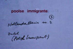Niet of onleesbaar gesigneerd - Poolse immigrante kopen? Bied vanaf 1!