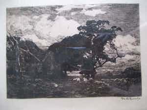 Willem de Zwart - Ets landschap verkocht voor € 35!