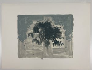 Joseph Cals - litho en zeefdruk - 'Hommage aan Graham Sutherland' -1980 (Prent 190) serie 12A kopen? Bied vanaf 50!