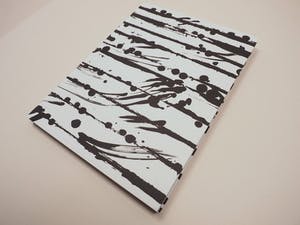 Günther Uecker - Lithographie als Buchhülle, signiert kopen? Bied vanaf 430!