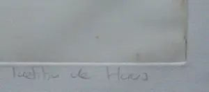 Laetitia de Haas - Winter kopen? Bied vanaf 75!