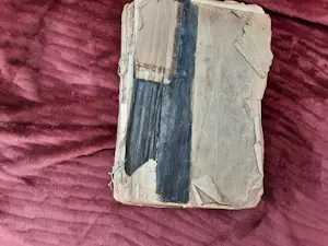 Antiquarisch Boek - De leeuw van Vlaanderen kopen? Bied vanaf 30!