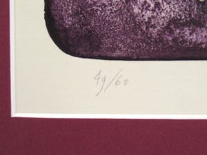 Vladimir Suchanek - Kan met Vrouwenhoofd in de Wolken kopen? Bied vanaf 35!