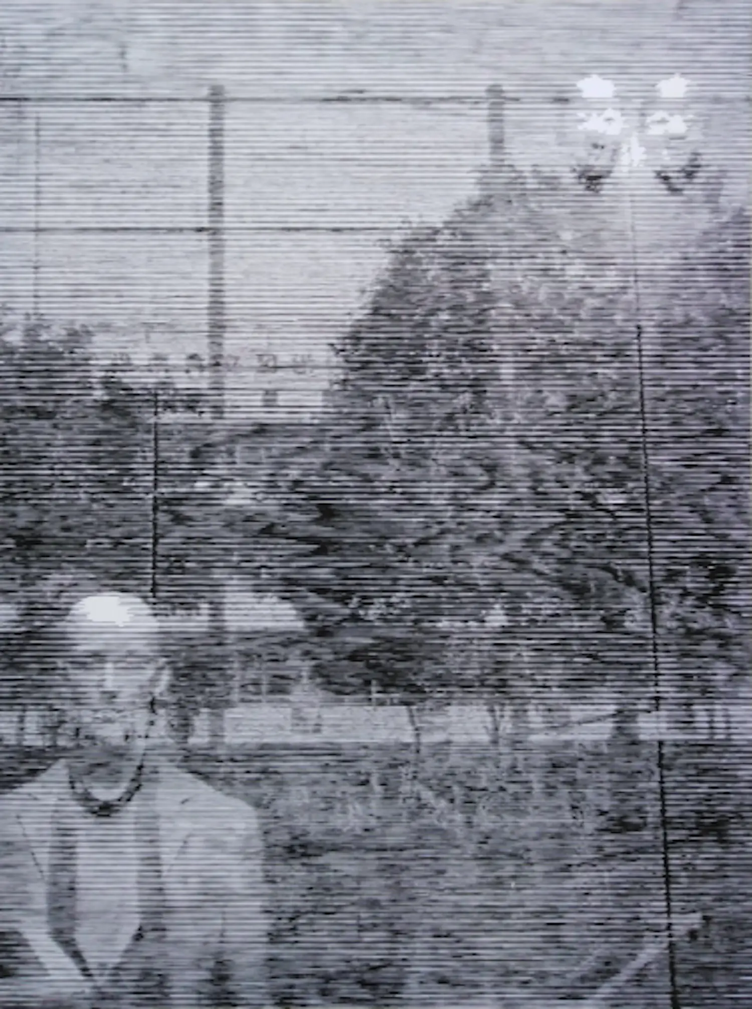 Katsutoshi Yuasa (1978)