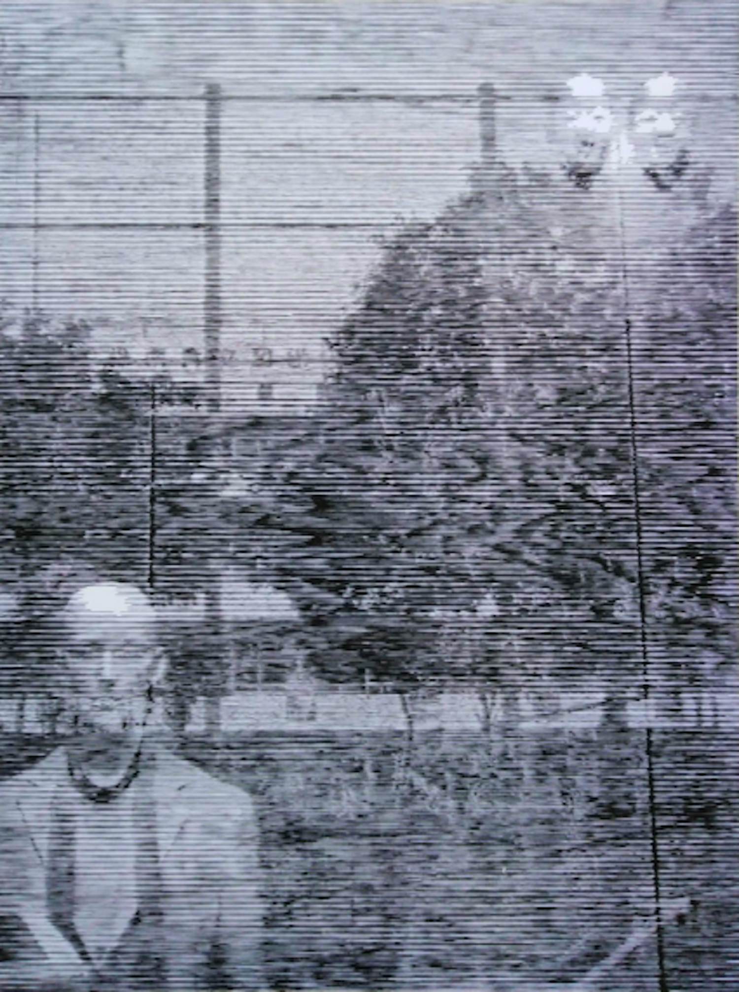 Katsutoshi Yuasa - Snapshot #4, Holzschnitt, 2008 kopen? Bied vanaf 300!