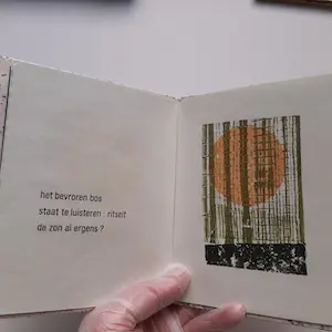 Hans van Draanen - Haiku in duplo kopen? Bied vanaf 60!