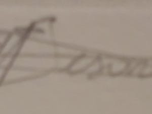 Hugo Besard - WOLVEN kopen? Bied vanaf 50!