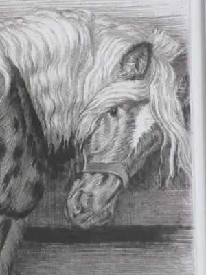 Kuno Brinks - Paard in de stal - Gravure kopen? Bied vanaf 100!