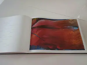 Gerhard Richter - "RICHTER 858" - 2002 - Hardcover + 8 abstrakte Bilder + CD kopen? Bied vanaf 300!
