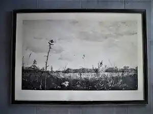 Reinder Homan - Grote 1979 "panorama" Ets "Landschap met veldbloemen" kleine oplage van 64 vendu pour 269€ !