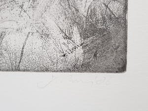 Jan Prins - Prachtige Ets - Gesigneerd in potlood kopen? Bied vanaf 1!