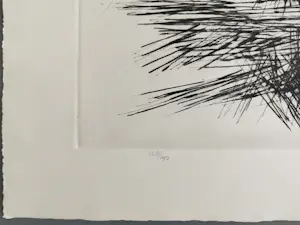 Buy Anton Buytendijk - gesigneerde ets? Bid from 69!