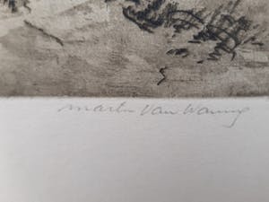 Martin van Waning - "Berkenlaantje" kopen? Bied vanaf 39!