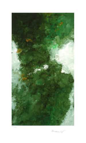 Armando - Waldig - Handgesigneerder Giclée verkocht voor € 145!