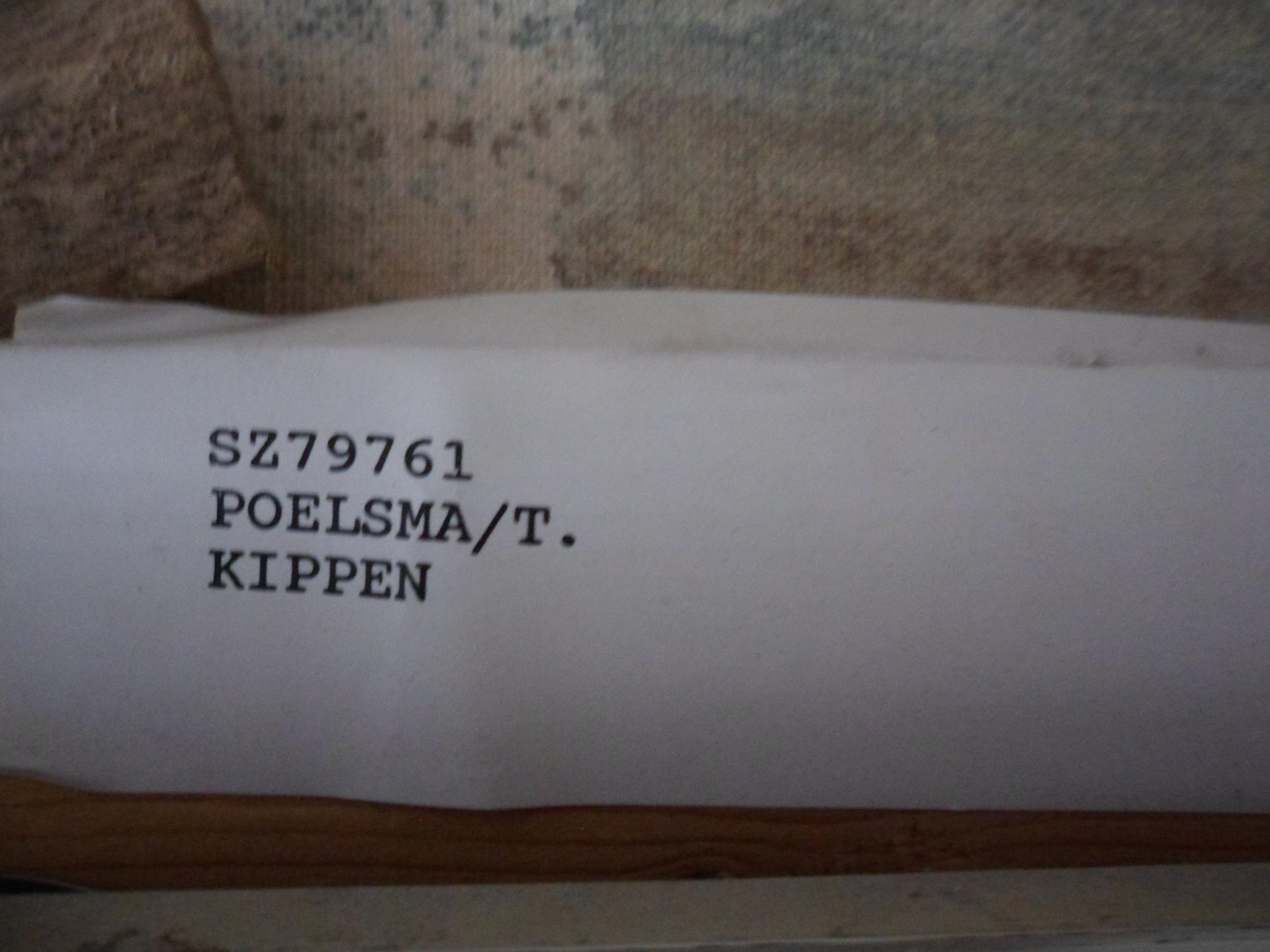Katrijn Poelsma - Olieverf op doek, Titel : Kippen kopen? Bied vanaf 30!