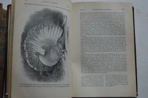 Antiquarisch Boek - Charles Darwin; The variation of animals and plants. In 2 delen compleet! kopen? Bied vanaf 150!