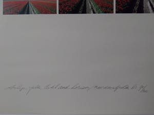 Ger Dekkers - tulip-fields, ditch and horizon Noordoostpolder 95/200 kopen? Bied vanaf 50!