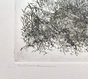 Willem Minderman - Wilde planten met landschap, ets kopen? Bied vanaf 40!