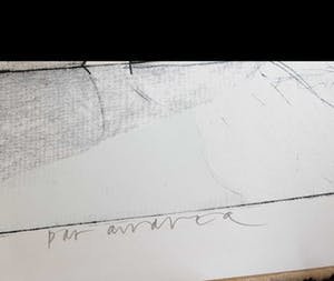 Pat Andrea - zonder titel kopen? Bied vanaf 40!