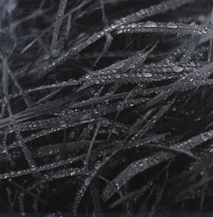 Jos Reinders - Foto, Natuur en Cultuur 2A kopen? Bied vanaf 50!