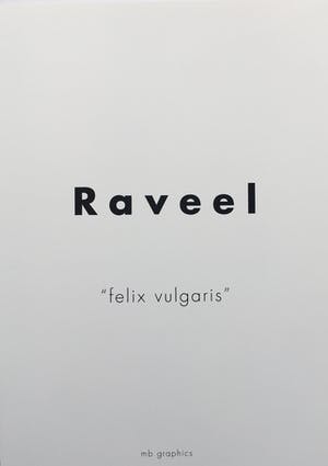 Roger Raveel - zeefdruk ‘Felix Vulgaris’ - 2010 - oplage 100 kopen? Bied vanaf 575!
