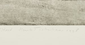 Henk Tichelaar - Droge naald en aquarel, Jumerkoeland kopen? Bied vanaf 40!