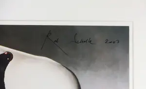 Rob Scholte - Zeefdruk op papier, Sprookje - Ingelijst (Groot) kopen? Bied vanaf 100!