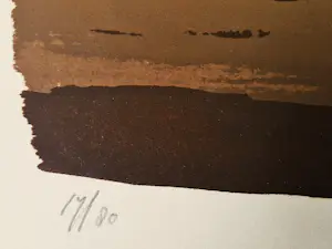Wally Elenbaas - grote 1970 kleuren lithografie "vrouwelijk naakt aan de kust" oplage (80) kopen? Bied vanaf 69!