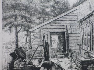 Toon Pluymers - Boerenerf Zeeland - Ets kopen? Bied vanaf 50!