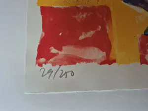 Jan Cremer - litho 29/250, gesigneerd r.o. - 1998 kopen? Bied vanaf 195!