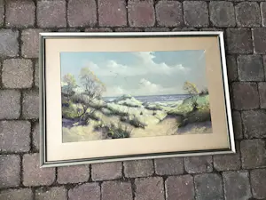 Gerard Cox (jr.) - Duinzicht. kopen? Bied vanaf 30!