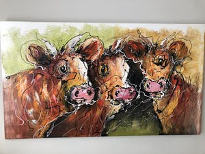 Caspar van Houten - Koeien kopen? Bied vanaf 250!